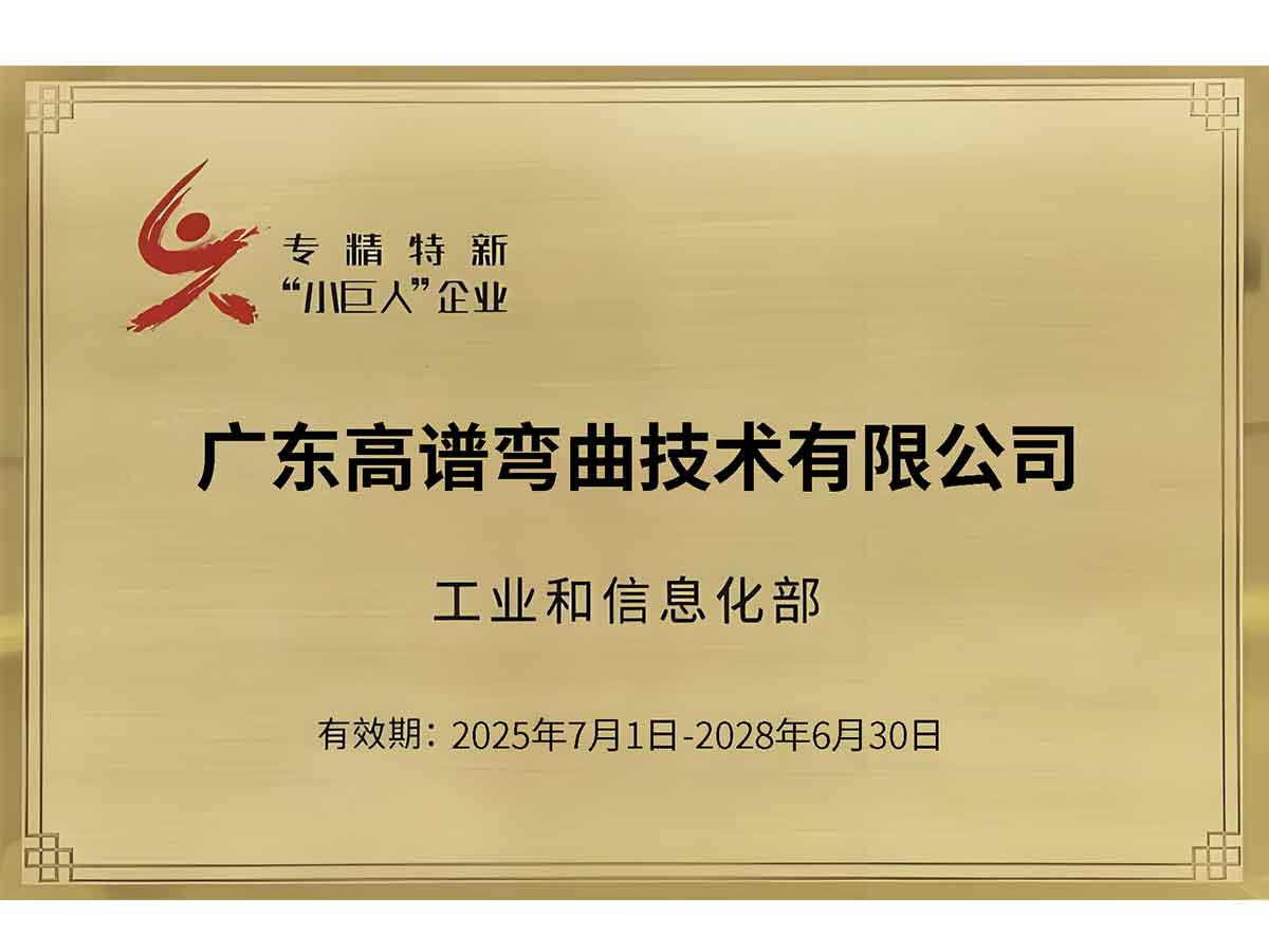 National-level "Little Giant" Specialized, Refined, Differential, and Innovative Enterprises